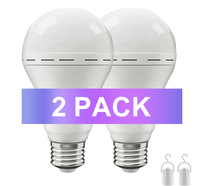 2 pcs